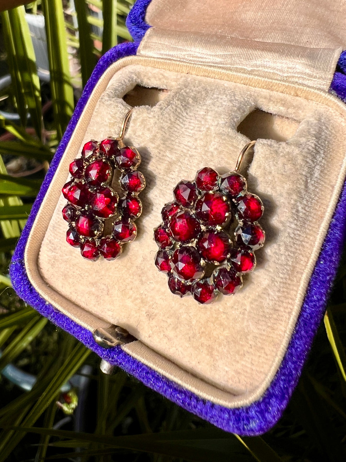 Large Victorian Gold Bohemian Garnet Cluster Earrings