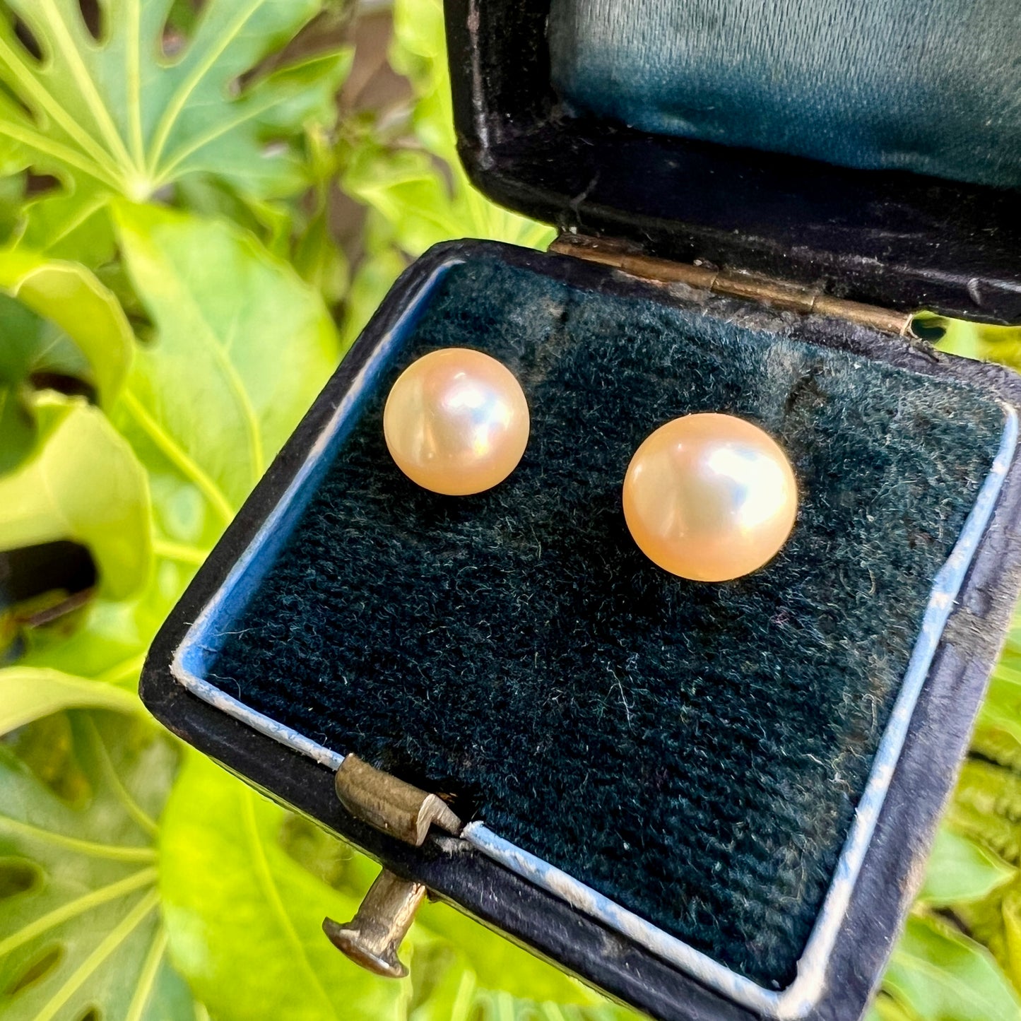 Vintage Cultured Pearl Stud Earrings in 9CT Gold