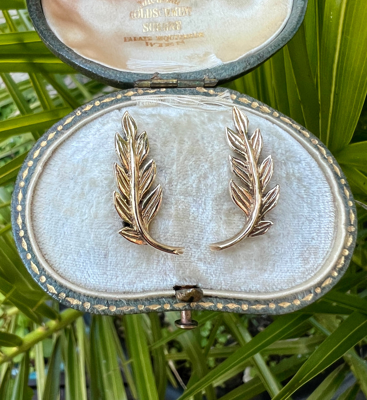 Large Vintage 9CT Gold Laurel Leaf Stud Earrings