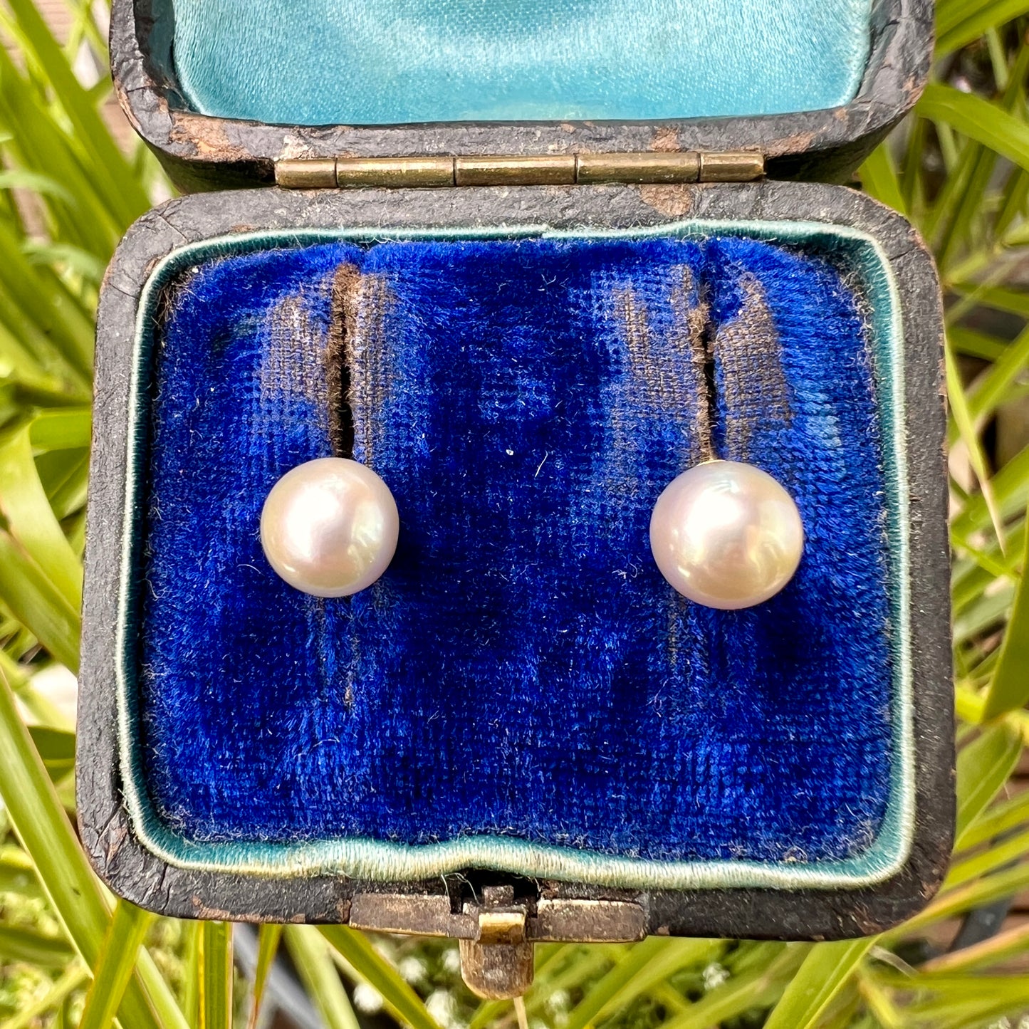 Vintage Mikimoto Cultured Pearl Stud Earrings in 9CT Gold