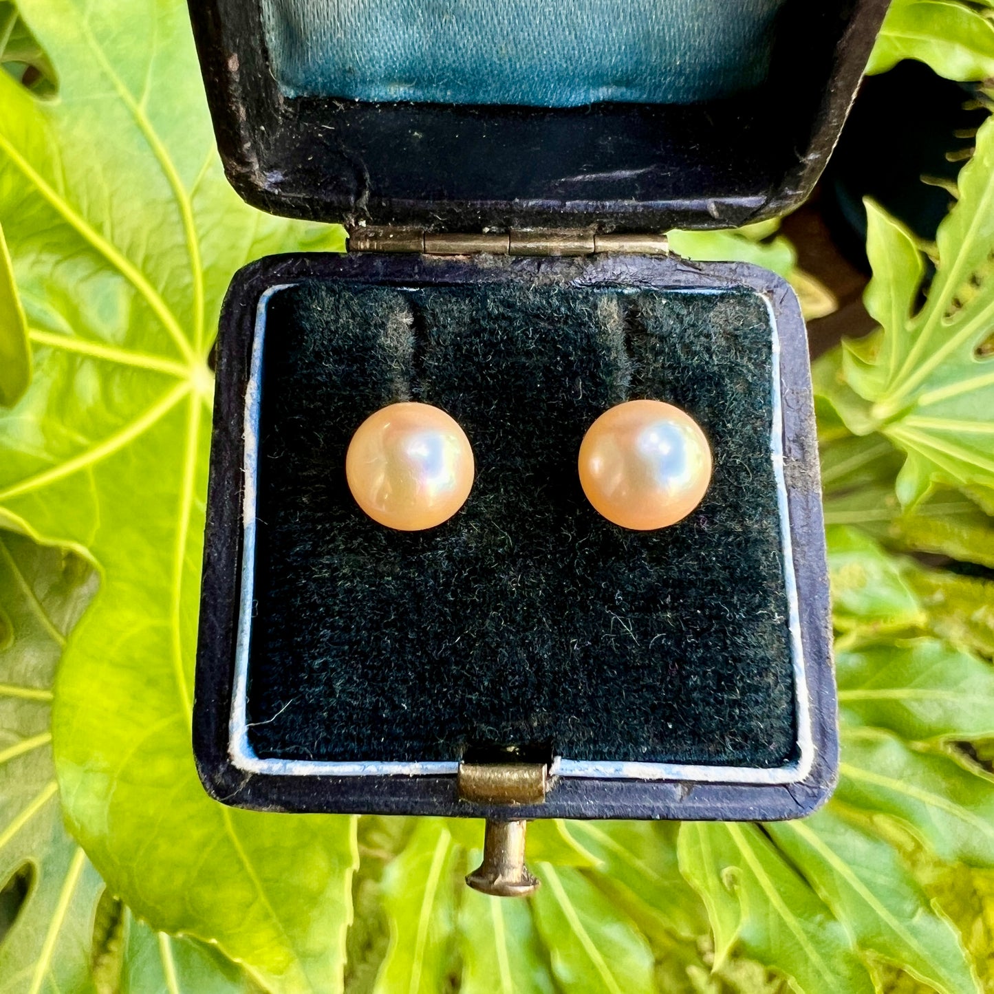 Vintage Cultured Pearl Stud Earrings in 9CT Gold