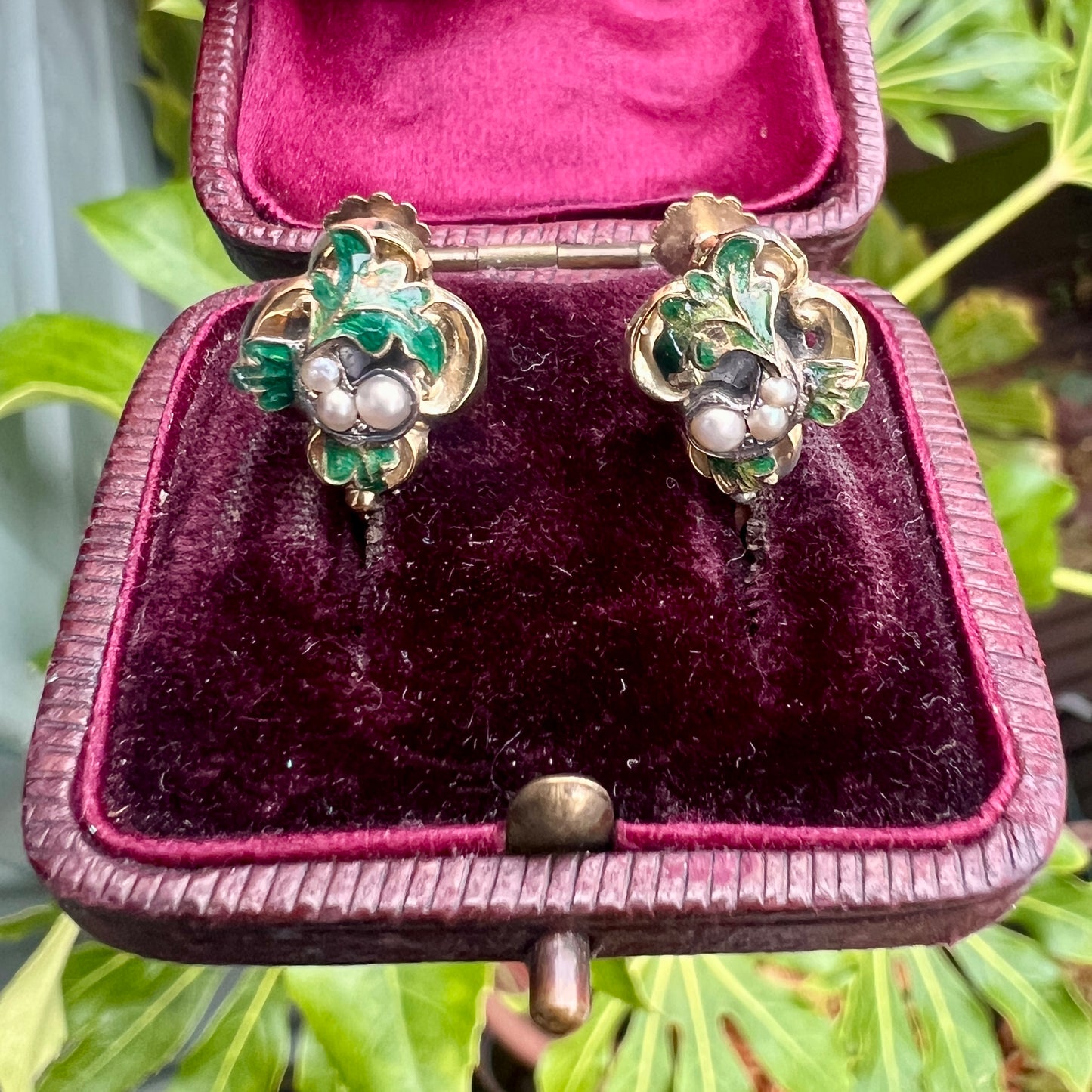 Victorian Gold Enamel and Pearl Oak Leaf Earrings