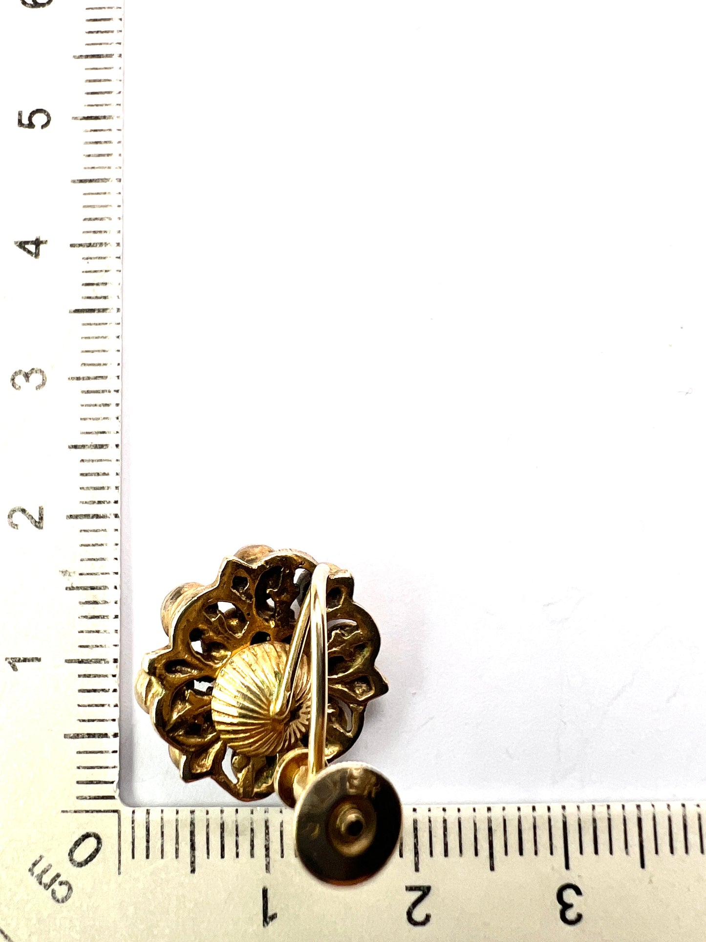 Antique Austro Hungarian Silver Gilt Garnet Halo Earrings